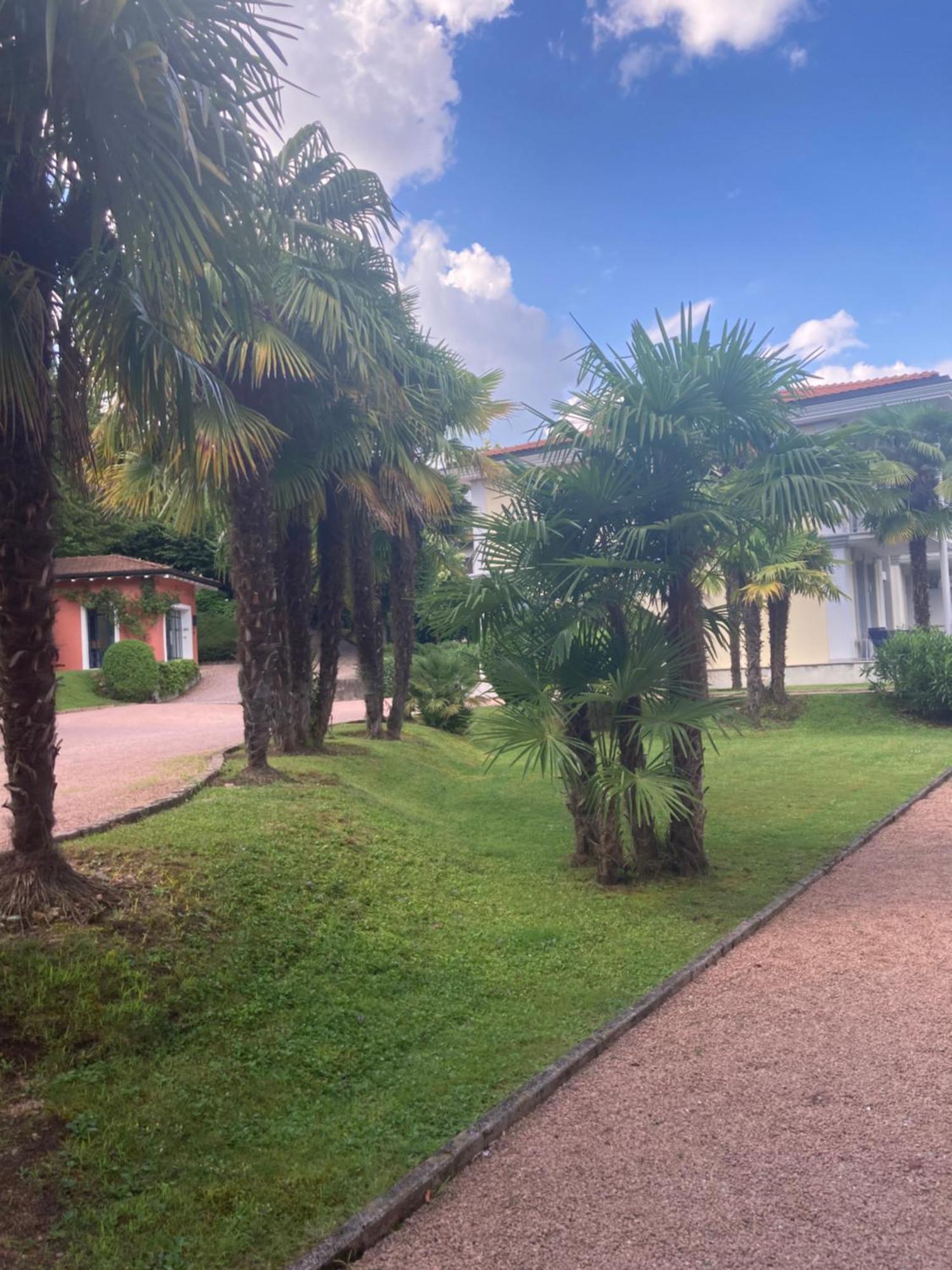 Ville Lago Lugano Porto Ceresio Exterior photo