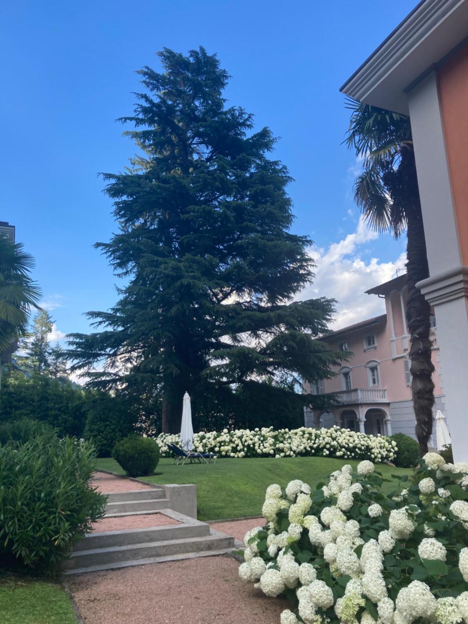 Ville Lago Lugano Porto Ceresio Exterior photo